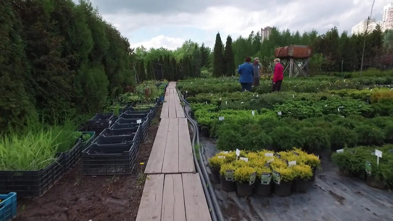 Садовый центр 16 парковая сайт. 16 Парковая питомник растений. Садовый центр Вороново Косовка. Питомник растений на парковой 16 в Москве. Садовый центр Московская область.