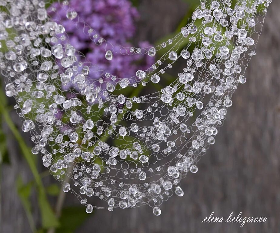 Rain украшения. Весенняя капель. Сирень в каплях дождя. Сирень в росе. Сирень дождь.