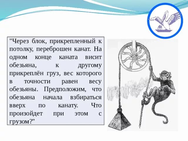 Вес груза через блок на веревке. Обезьяна и груз на канате. На одном конце каната груз на другом обезьяна. Обезьяна по веревке.