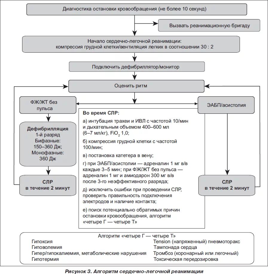 Алгоритм действий при сердечно легочной реанимации. Реанимационные мероприятия при остановке сердца алгоритм. Алгоритм действий при реанимационных мероприятиях. Алгоритм проведения сердечно-легочной реанимации Сестринское дело. Алгоритм проведения реанимационных мероприятий при остановке сердца.