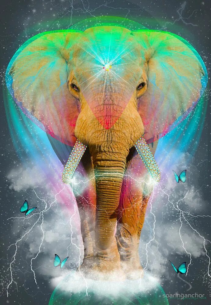 Neon elephant. Картина слон. Радужный слон. Радужные слоны. Радужный слон настоящий.