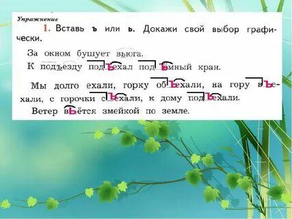 Вставь твердый или мягкий