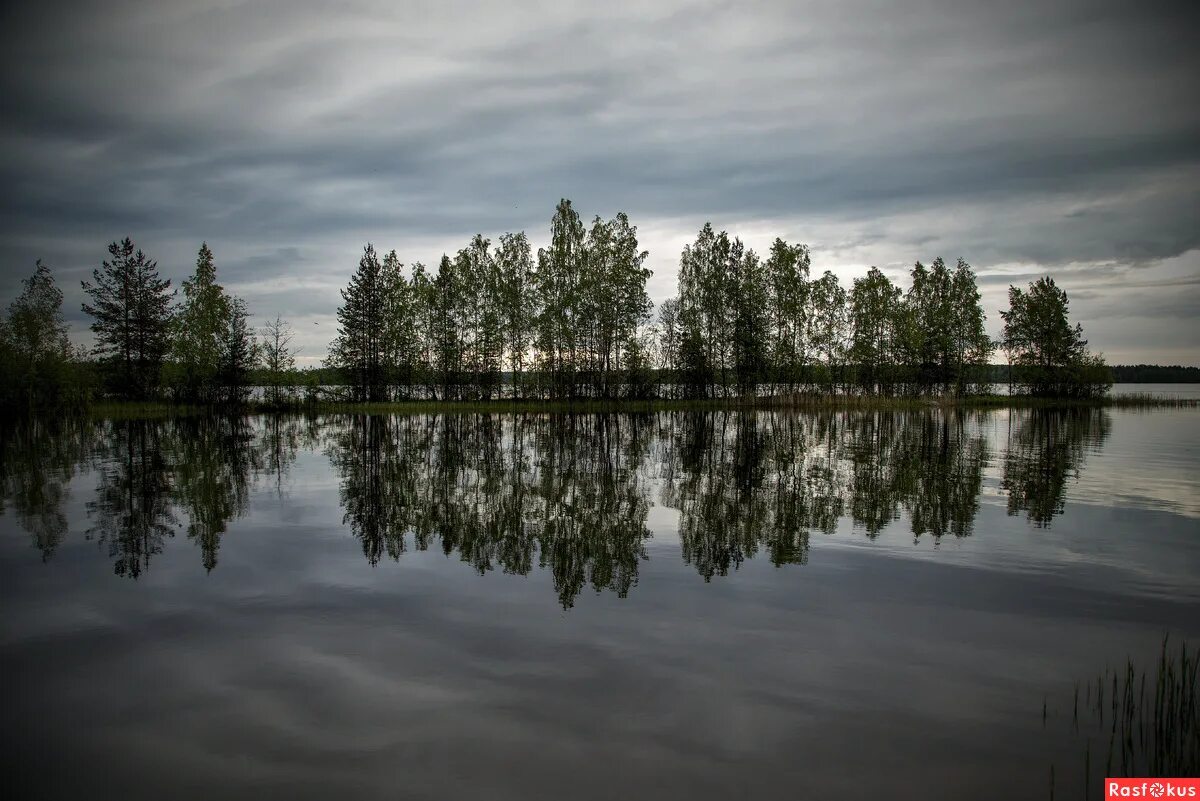 западное кончезеро карелия. кончезеро республика карелия. село кончезеро карелия. озеро кончезеро карелия фото. косалма карелия озеро.