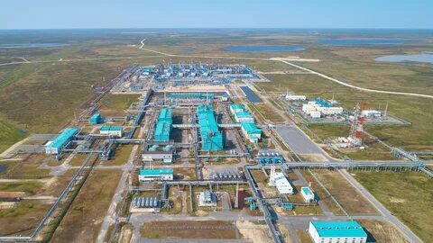 береговое месторождение новатэк