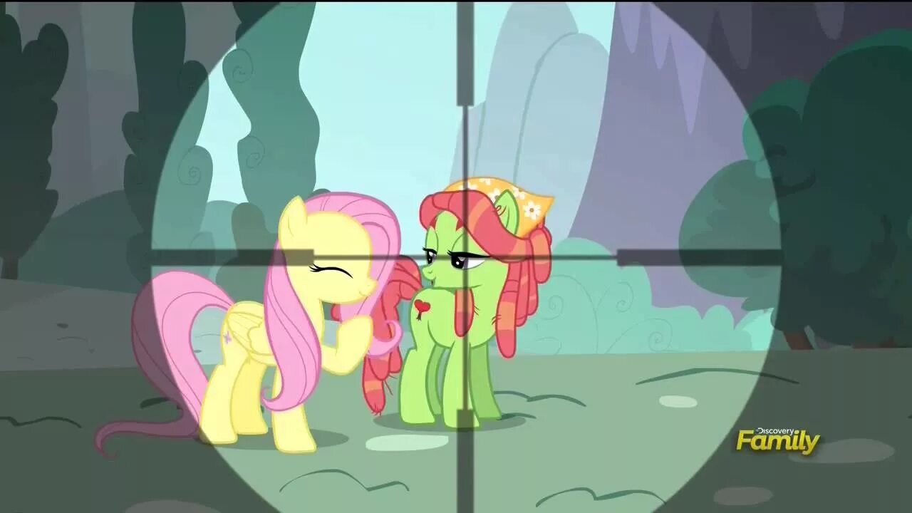 Discord tree. Трихаггер млп. три хаггер и флаттершай. флаттершай дерево. my little pony tree hugger.