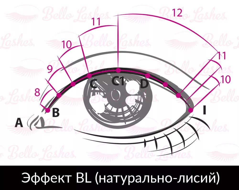 Лисий эффект наращивания ресниц схема. Разреженный эффект наращивания ресниц схема. Классическое наращивание ресниц Лисий эффект схема. Кукольно-Лисий эффект наращивание ресниц схема.