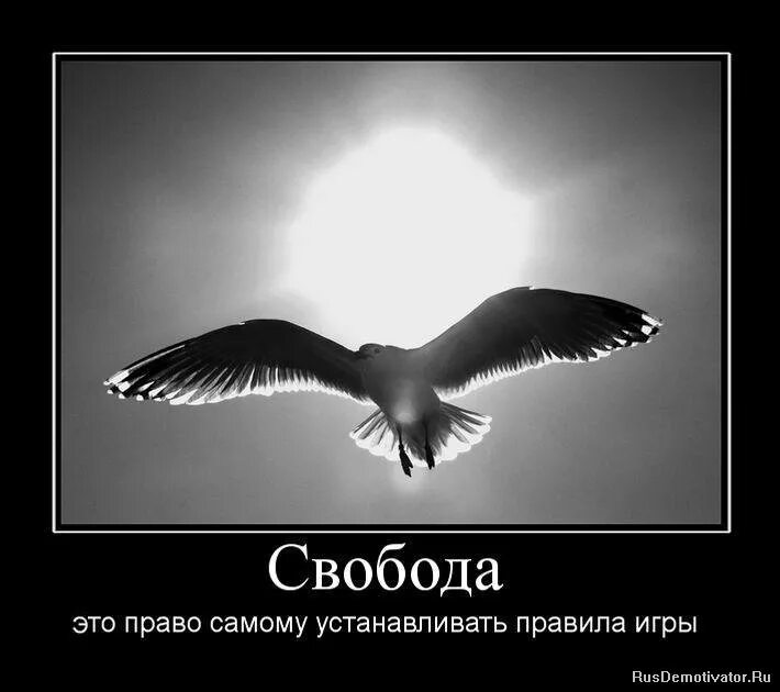 Статус свободы
