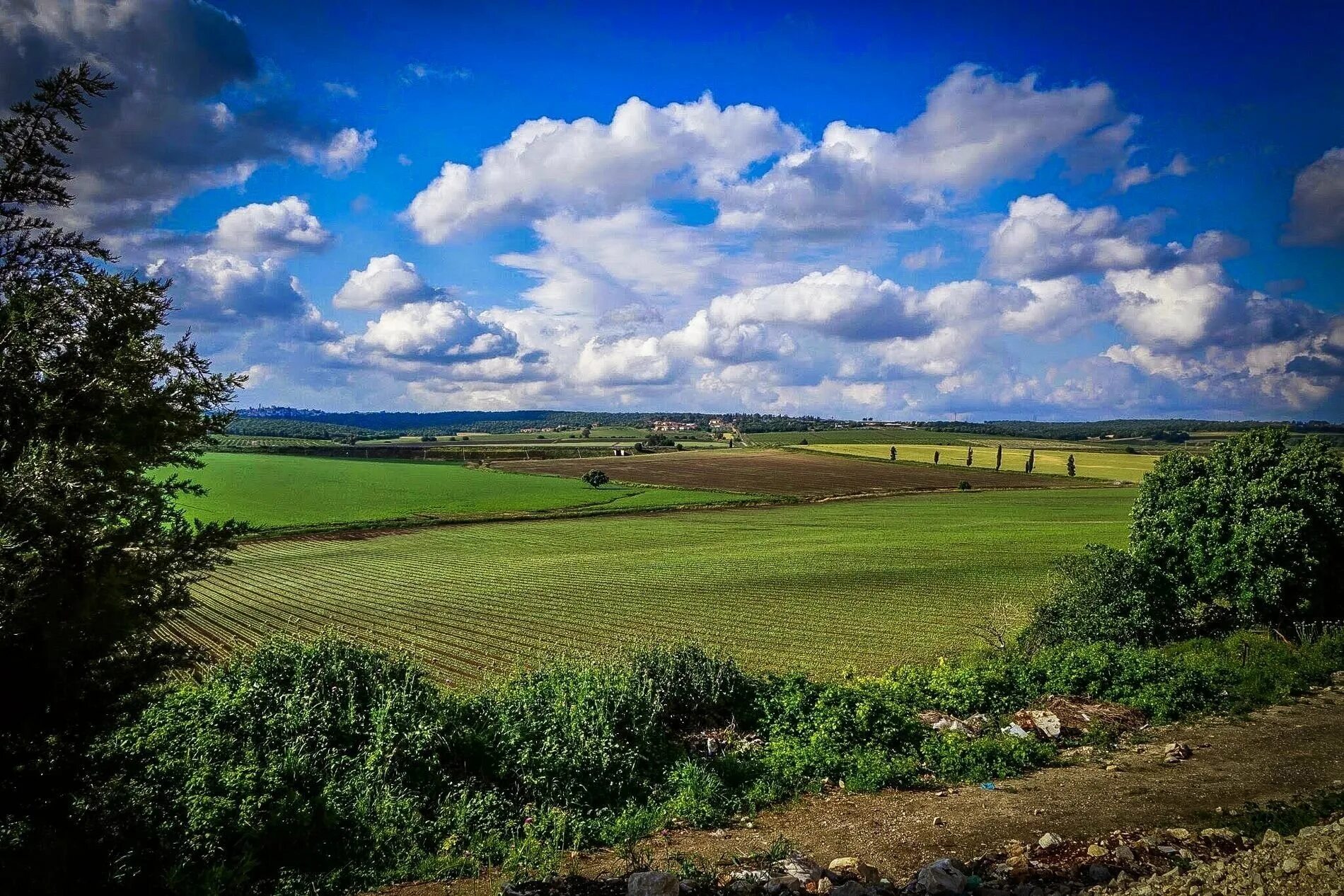 Родной город страна село. Родной край. Мой родной край. Природа родного края. Красивая равнина.