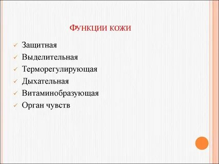 Дыхательная функция кожи