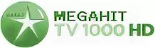 Канал 1000 00. Канал ТВ 1000. Канал tv1000 логотип. ТВ 1000 Мегахит.