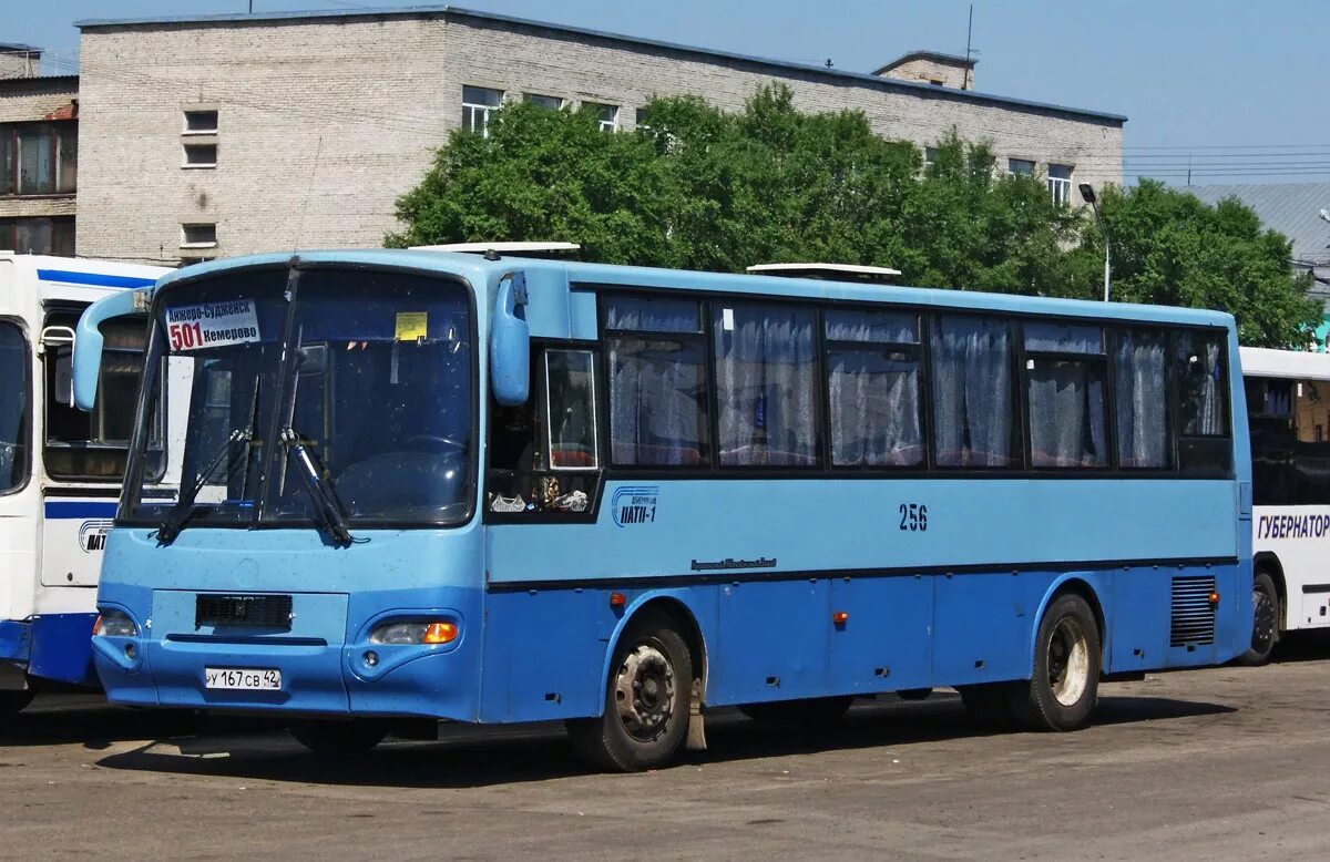 66 автобус саранск маршрут. Кемерово паз 66т. Паз 32054 кемерово. Т-паз 10. Автобус паз 32054.