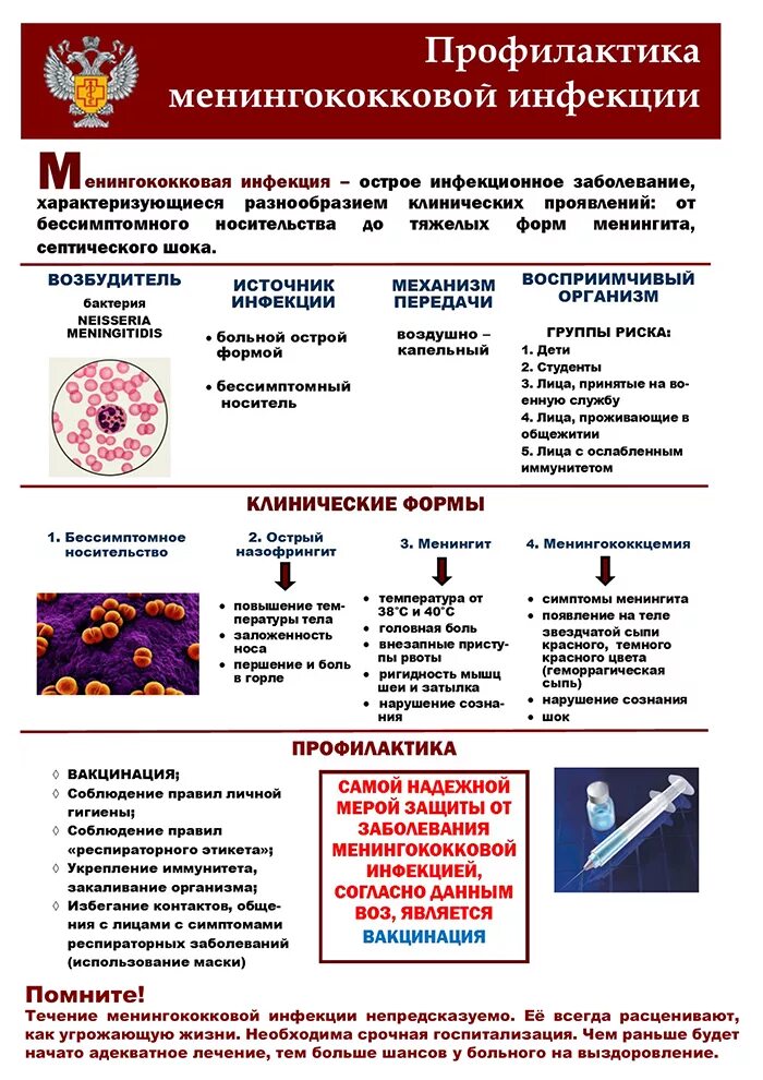 профилактика менингококковой инфекции. менингококцемия правила выписки. менингококк профилактика. менингококк профилактика. профилактика менингококковой инфекции у детей.