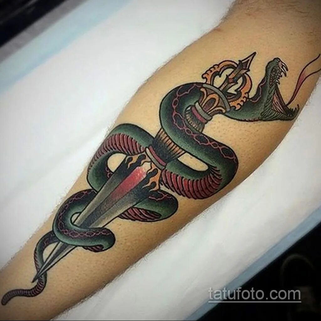 тату змея. значение татуировок со змеями. тату змея. тату змея на руке. тату змея.