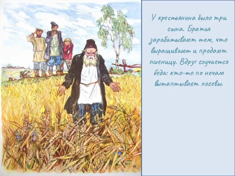 Жили были три сына. Крестьянин и три сына. Три сына сказка. Братья сеяли пшеницу. Посеял дед пшеницу.