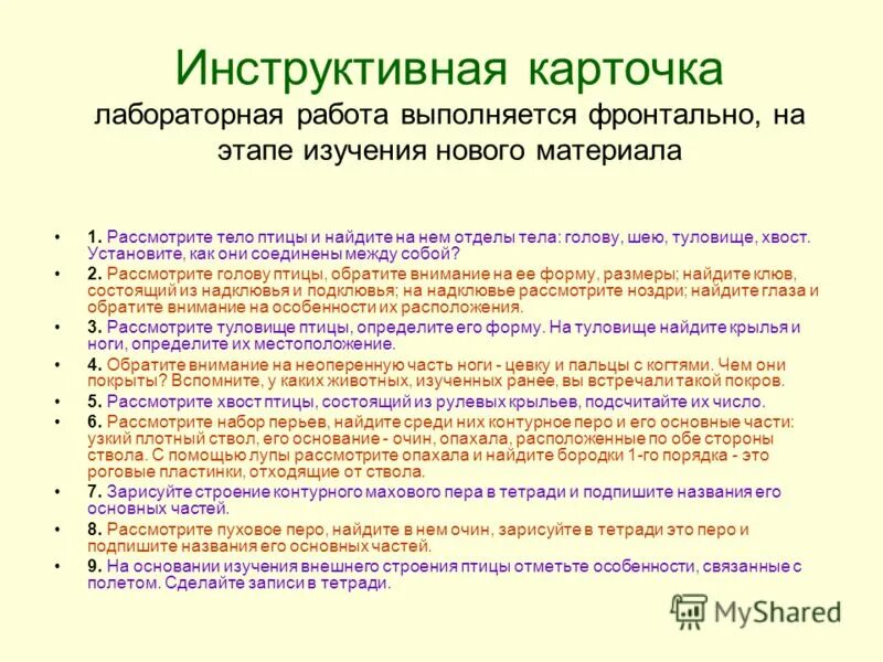 Лабораторная работа номер 6 внешнее строение птиц