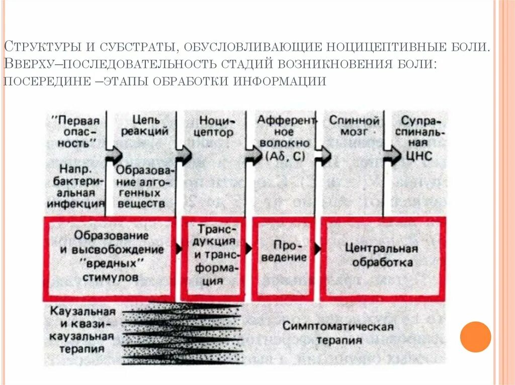 Многоуровневая структура боли. Этапы возникновения боли. Установите последовательность этапов работы сердца:. Последовательность стадий (этапов) возникновения пожара:. Установите очередность этапов образования графита