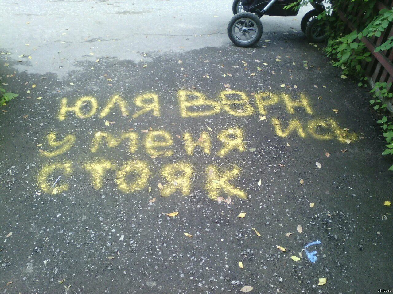 Оленька мне ничего