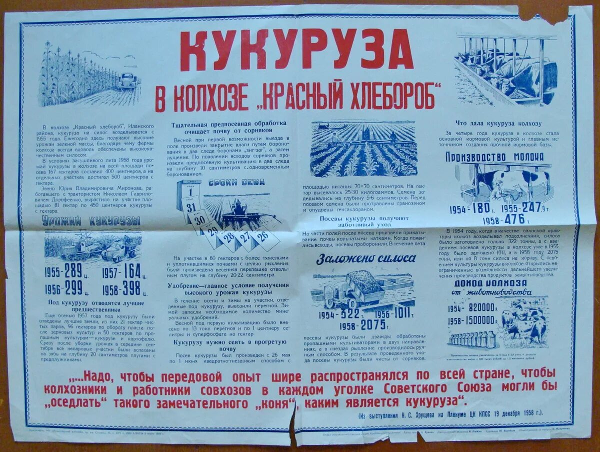 Декабрь 1958 года. Стенгазеты советского времени. Советская стенгазета. Стенд с газетами СССР. Дорогу кукурузе плакат.