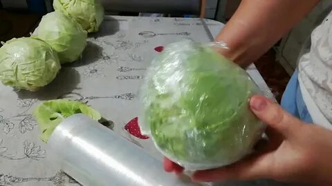Сколько держать капусту в тепле