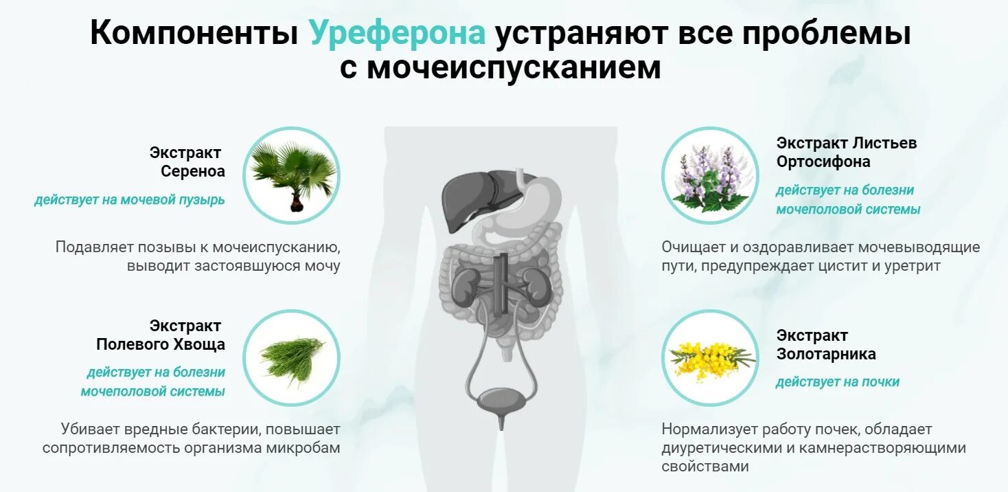 После операции простаты недержание мочи. Уреферон. Уреферон от простатита. Таблетки для мочевого пузыря при недержании. Препараты при недержании мочи у мужчин.