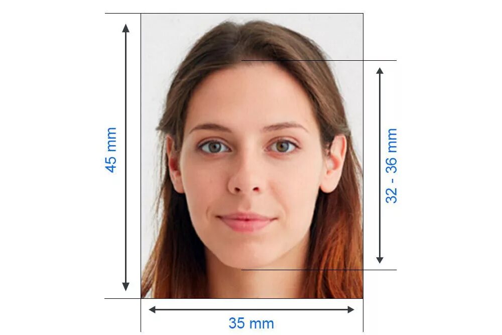 Виза 3,5 на 4,5 требования. Требования к фотографии на визу шенген. Фотография на шенгенскую визу требования. Каких размеров германия