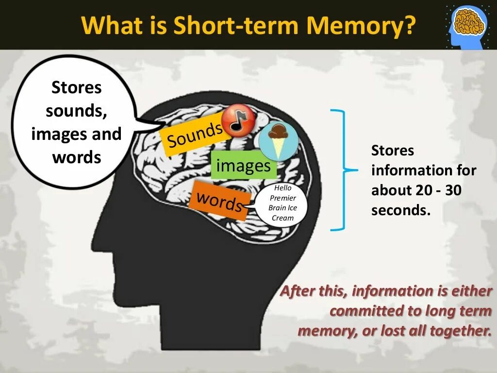 Short memory. Short term Memory. Short-term Memory, and long-term Memory. Short-term Memory loss. Short-term Memory mem.