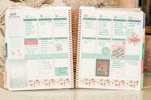 How many pages are in Erin Condren Life Planner? - Celebrity.fm - #1 Official St