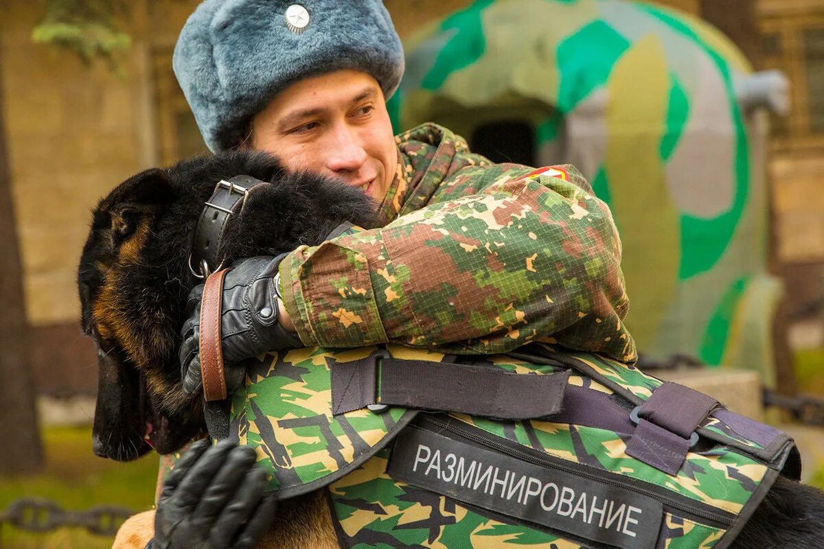 Новые русские звери. Военная собака. Собаки на военной службе. Служебные собаки. Собаки на службе в армии России.