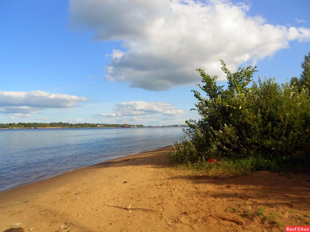 Ленинградское шоссе 39 пляж динамо. Бухта коприно рыбинское водохранилище. Река волга ярославль пляж. Пляж коприно рыбинск. Пляж на реке.