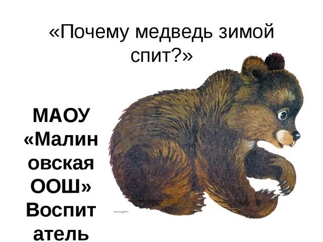 Why bear. Медведь орёт скучно. Медведь в шапке ушанке с ак и. Нарисовать рисунок почему медведь зимой спит. Why bear.