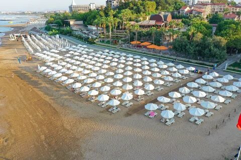 Barut goia сиде