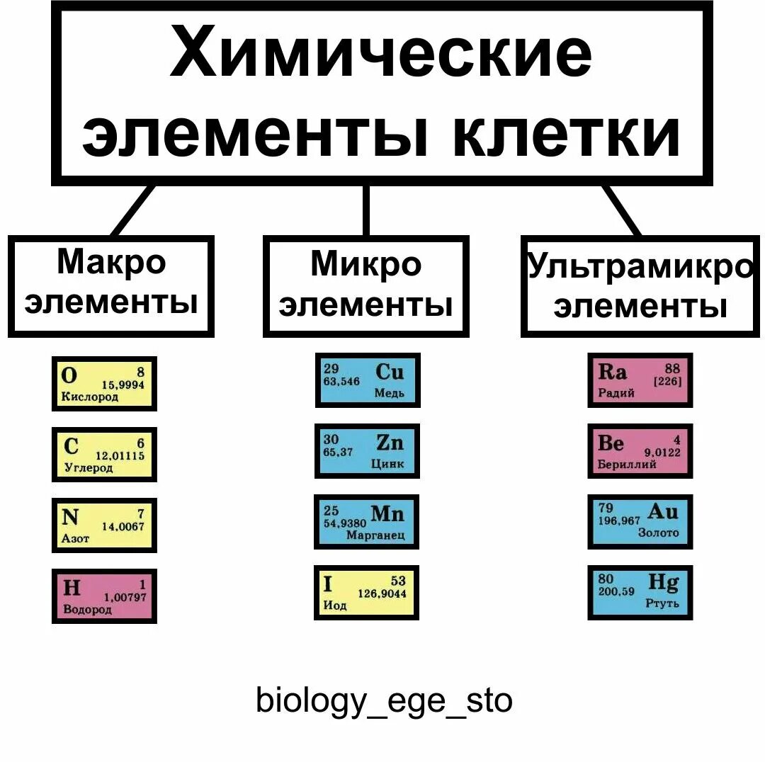 Элементы основа живых организмов. Классификация химических элементов химические элементы. Химический состав клетки схема химические элементы вещества. Какие химические элементы входят в состав клетки таблица. Макро и микроэлементы входящие в состав клетки.