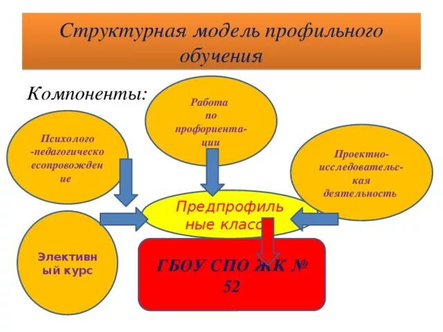 Уровни профильного обучения. Модели профильного обучения. Модель профильного обучения в школе схема. Модели организации профильного обучения. Модель профильной школы.