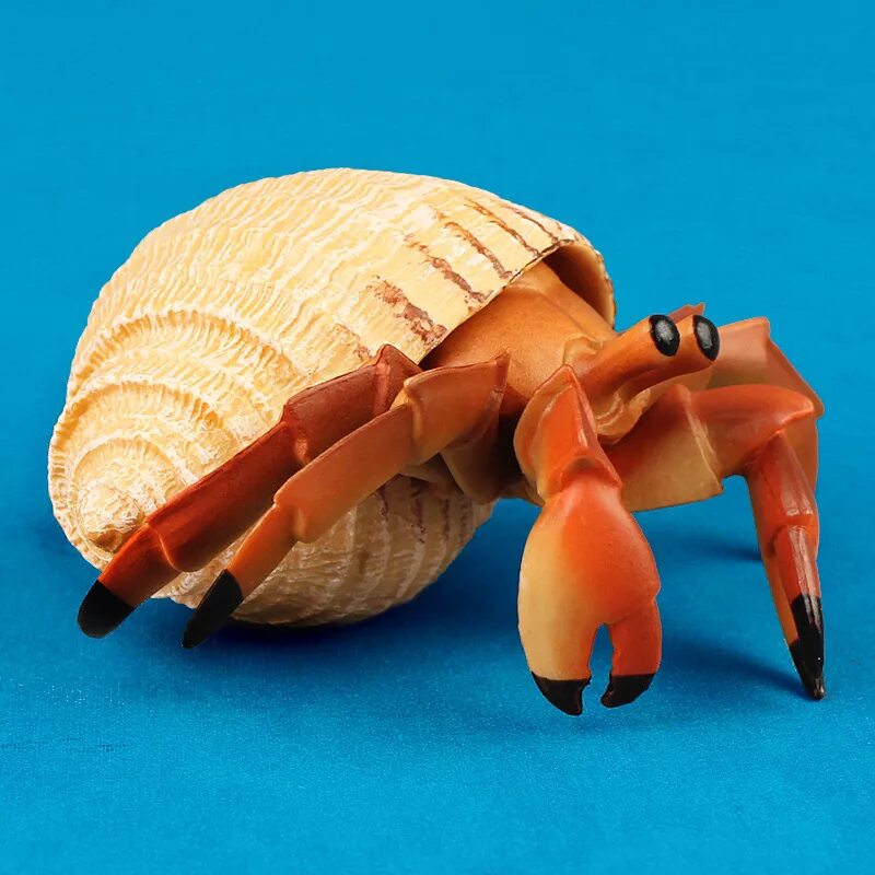 Морские Крабы отшельники. Краб в раковине. Hermit Crab игрушка. Краб в ракушке