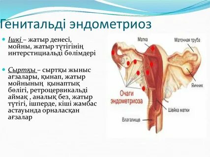 Әтеш анимация