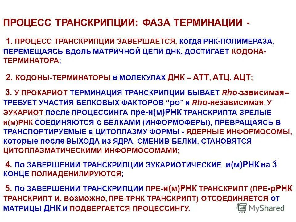 Стартовый кодон днк. Кодоны терминаторы. Кодоны терминаторы. Кодоны терминаторы. Кодон это в генетике.