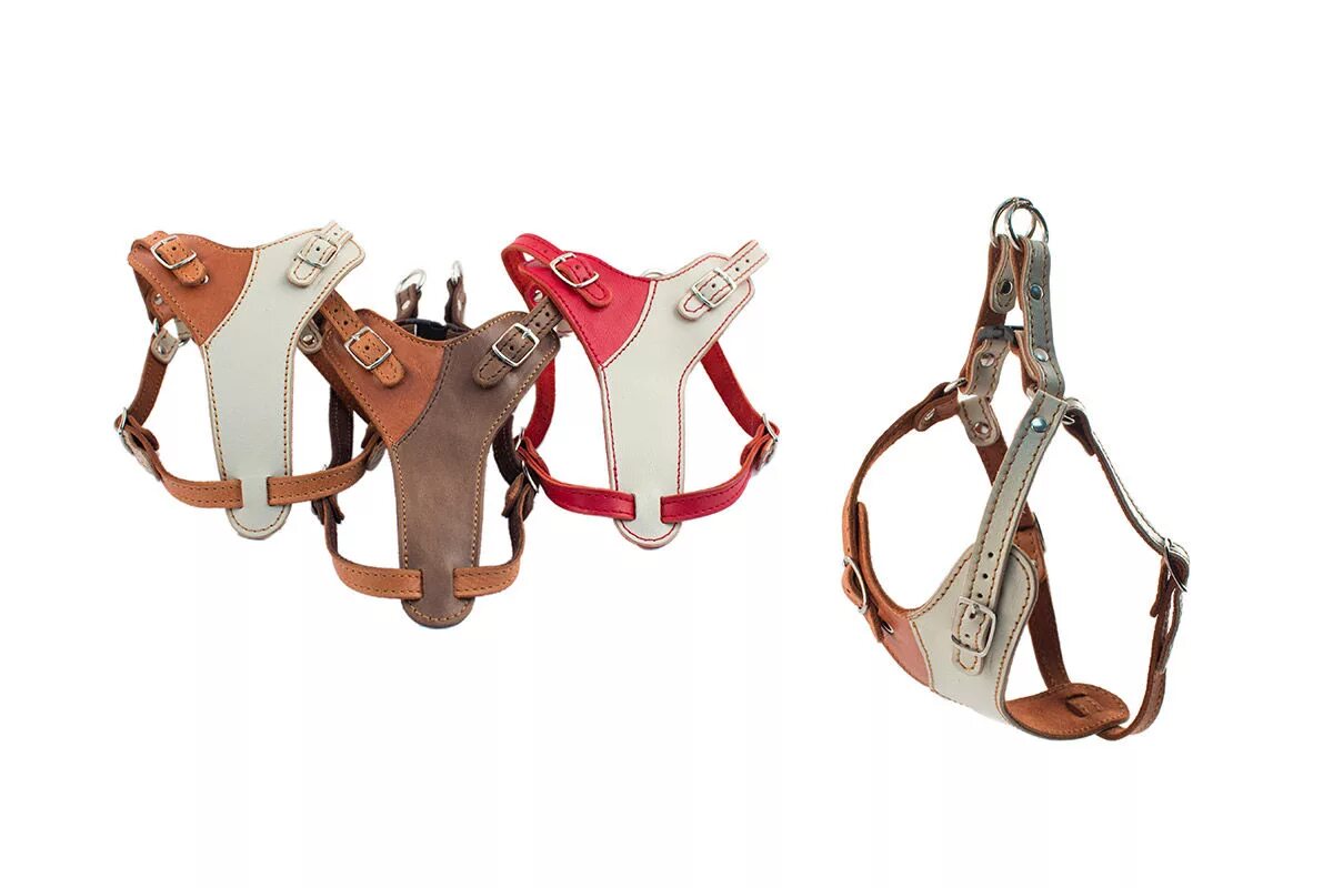 именник для собак из кожи. бернский зенненхунд намордник. адресник на ошейник. шлейка кожаная. мягкая кожа с собачьим именем 5.