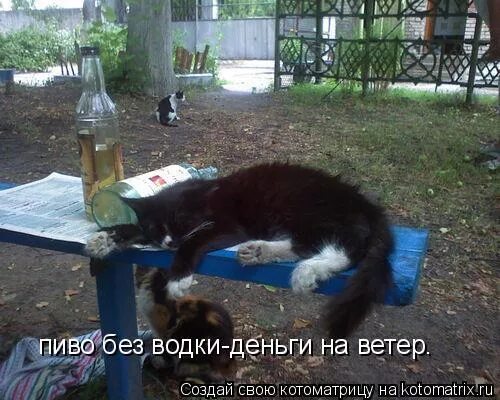 Без водочки. Без водочки. Без водочки. Без водочки. Без водочки.