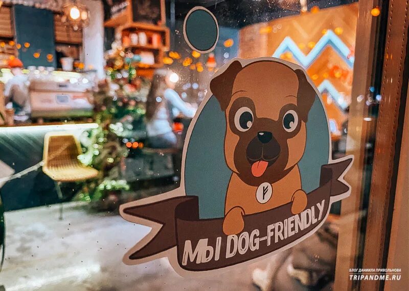 Какая френдли. Дог френдли кафе. Собака в ресторане. Dog friendly ресторан наклейка. Кофейня с собаками.