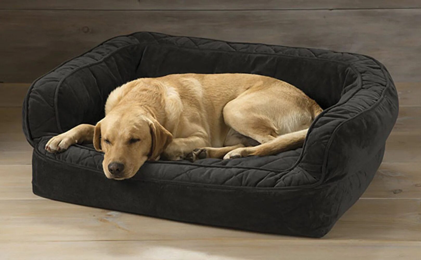 Лежанка для крупных пород. Лежанка Эллис LMK-9291. Лежак для собак Dog gone Smart Lounger Bed XL 94х79х16.5 см. Лежак Luxury cozy Dog. Лежанка для ретривера.