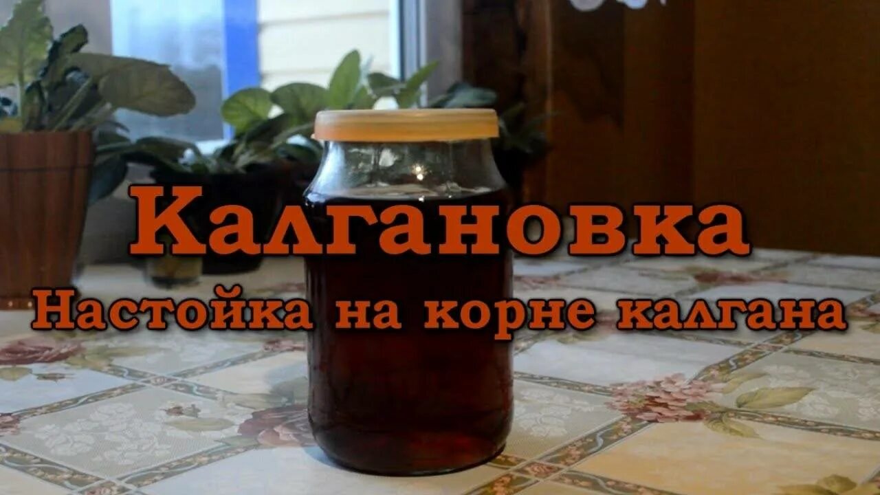 Настойка Колганова корня на самогоне. Калган настойка. Настойка на калгане на самогоне. Самогон на калгане. Калгановка на самогоне