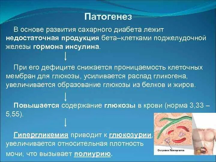 Этиология сахарного диабета. Патогенез развития сахарного диабета. Этиология и патогенез сахарного диабета. Механизм развития сахарного диабета.