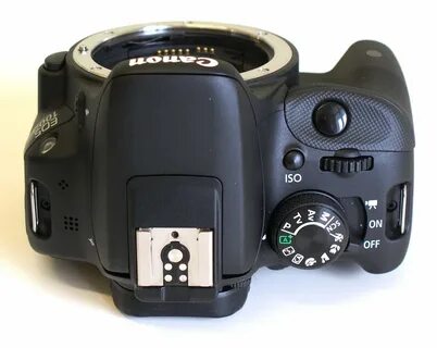 100 d