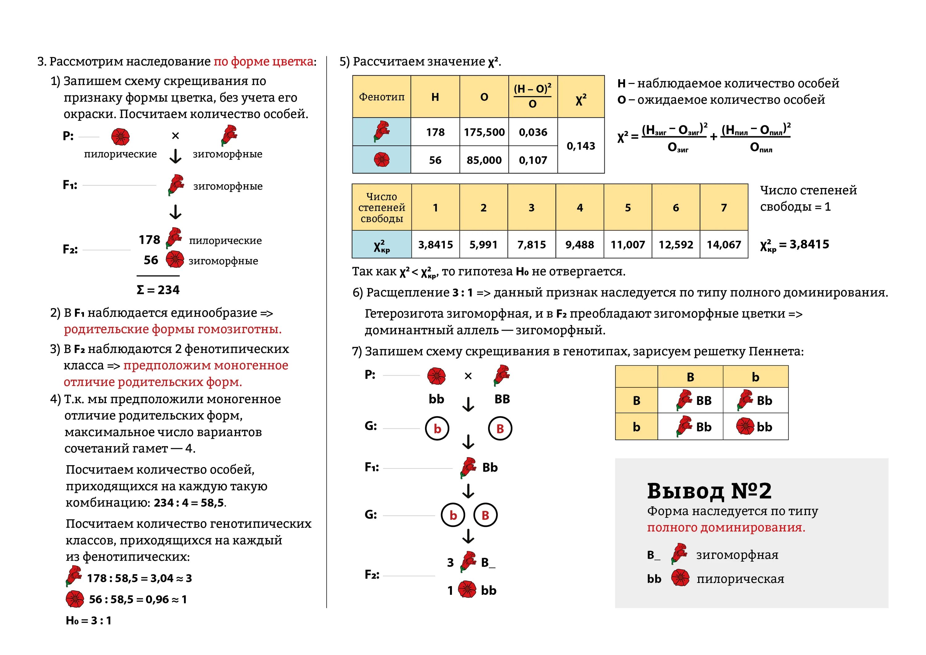 Дигибридное скрещивание таблица. Скрещивание со стерильным растением. Генотипические классы как посчитать. Стерильная и фертильная пыльца. Полный анализ формы