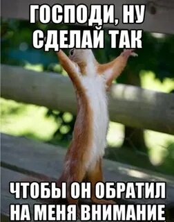 Держи внимание на себе