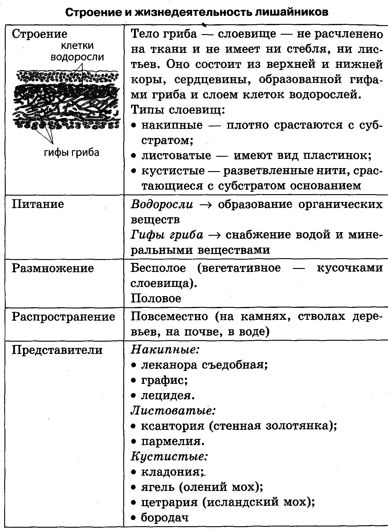 Сравнительная характеристика грибов и лишайников таблица. Царство грибы особенности строения и жизнедеятельности. Царство грибы особенности строения. Строение и жизнедеятельность лишайников таблица.