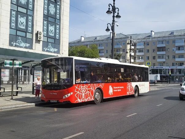 Автобусы Пермь. Пермский автобус 2021. Пермский автобус с гармошкой. 1 Автобус Пермь.