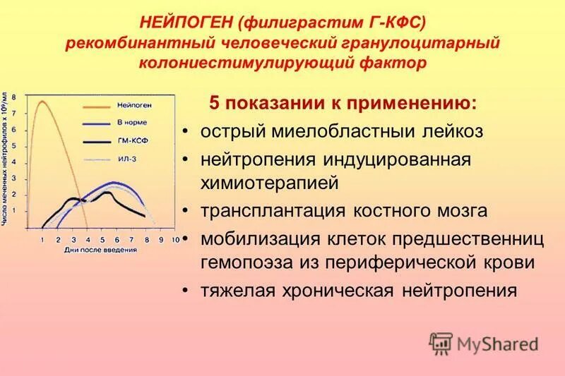 Функциональная активность клетки