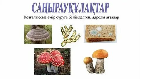 Оральды секс орыс тілінде