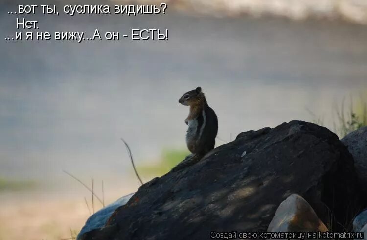Его не видно но он есть. Видишь суслика мем. Говорили они мем. Цитаты про нижнее белье. Его не видно но он есть.